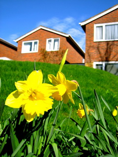 Energy Efficient Windows and Doors